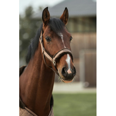 Cavezzone Back on Track Haze Collection Marrone