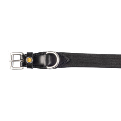 Collare per cani in cordura