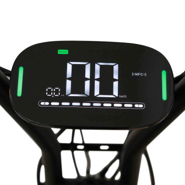 Scooter elettrico E-one 1000W
