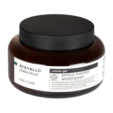Arnica 90 con mentolo 500ml