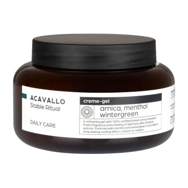 Arnica 90 con mentolo 500ml