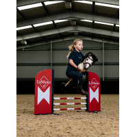 Hobby Horse LeMieux Blu benetton