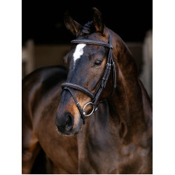 Briglia Flash Arika Classica LeMieux