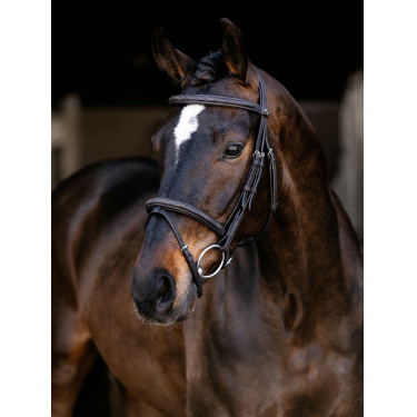 Briglia Flash Arika Classica LeMieux
