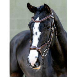 Briglia Kudos Sport LeMieux Briglia Kudos Sport LeMieux
