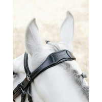 Briglia con capezzina anatomica regolabile Arika nero/argento LeMieux