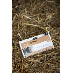 Foal Booster Horse Master per 4 Foal Booster Horse Master per 4
