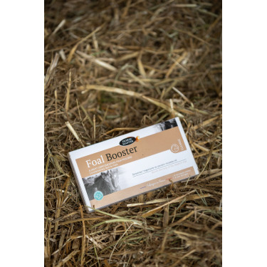 Foal Booster Horse Master per 4 Foal Booster Horse Master per 4
