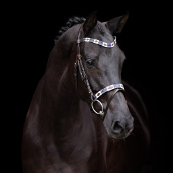 Briglia HV Polo Chaya
