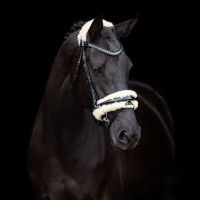 Briglia HV Polo Kate Nero