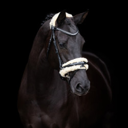 Briglia HV Polo Kate Nero