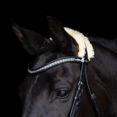 Briglia HV Polo Kate Nero