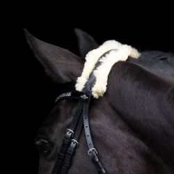 Briglia HV Polo Kate Nero