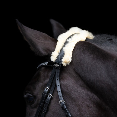 Briglia HV Polo Kate Nero