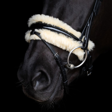 Briglia HV Polo Kate Nero