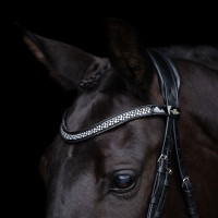 Briglia HV Polo Diana
