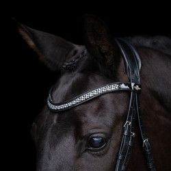 Briglia HV Polo Diana