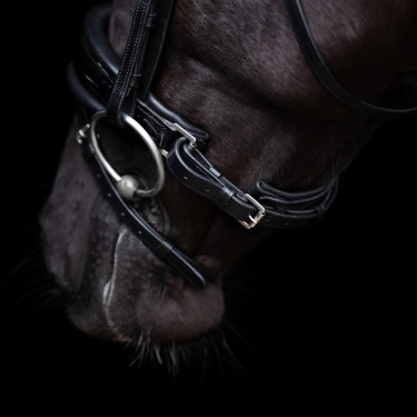 Briglia HV Polo Diana