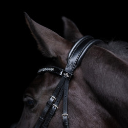 Briglia HV Polo Diana