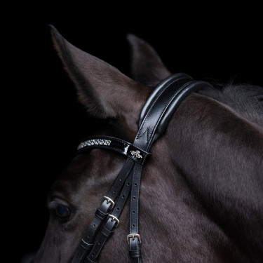 Briglia HV Polo Diana
