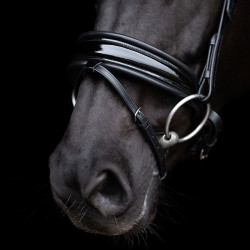 Briglia HV Polo Diana