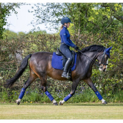 Tappetino LeMieux Suede Dressage Square Blu inchiostro Tappetino LeMieux Suede Dressage Square Blu inchiostro