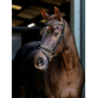 Briglia da dressage Arika LeMieux