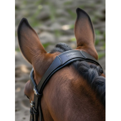 Briglia da dressage Arika LeMieux