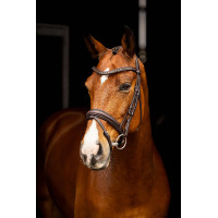 Briglia da dressage Arika LeMieux Marrone / argento