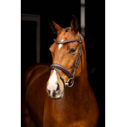 Briglia da dressage Arika LeMieux Marrone / argento