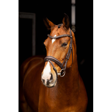 Briglia da dressage Arika LeMieux Marrone / argento