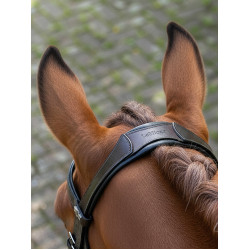 Briglia da dressage Arika LeMieux Marrone / argento