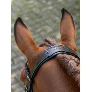 Briglia da dressage Arika LeMieux Marrone / argento