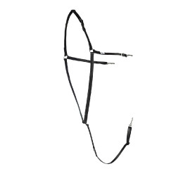 BRICOLE AMERICAINE BETA