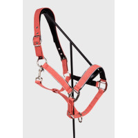 Capezzina Harcour Bamara Marina Blu marino