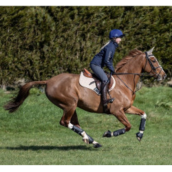 Stinchiere LeMieux Carbon Air XC Stinchiere LeMieux Carbon Air XC