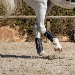 Stinchiere LeMieux Carbon Air XC Nero Stinchiere LeMieux Carbon Air XC Nero