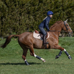 Stinchiere LeMieux Carbon Air XC Nero Stinchiere LeMieux Carbon Air XC Nero