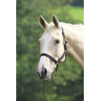 Capezza Shires Wessex Nero