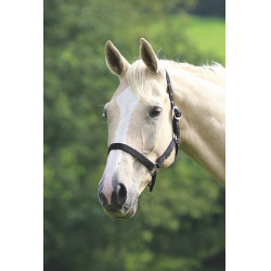 Capezza da equitazione Shires Wessex leggera