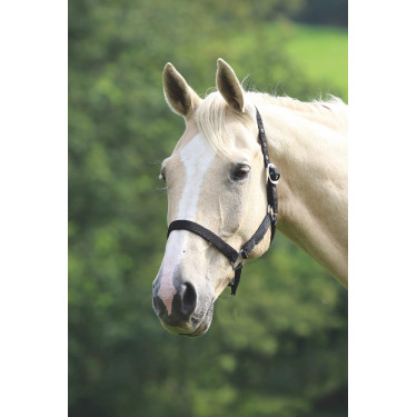 Capezza da equitazione Shires Wessex leggera
