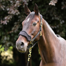 Capestro e lunghina in pile per cavallo Shires Arma