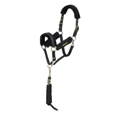 Capezza e lunghina equitazione Shires ARMA