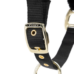 Capezza e lunghina equitazione Shires ARMA