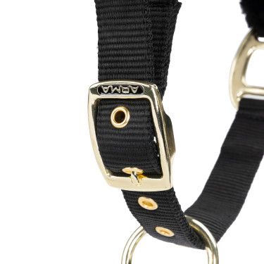 Capezza e lunghina equitazione Shires ARMA