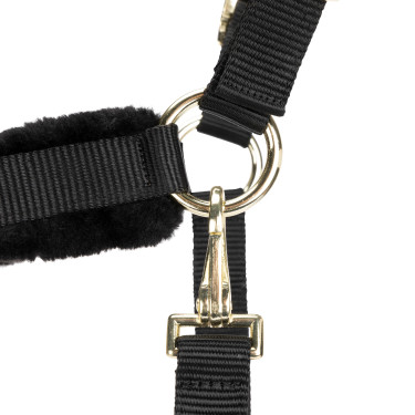 Capezza e lunghina equitazione Shires ARMA