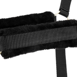 Capezza e lunghina equitazione Shires ARMA