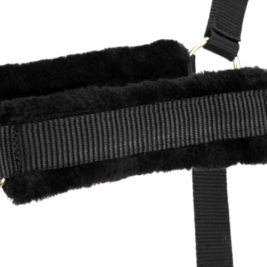 Capezza e lunghina equitazione Shires ARMA