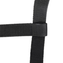 Capezza e lunghina equitazione Shires ARMA