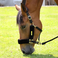 Capezzina e lunghina equitazione Shires ARMA in ecopelliccia Capezzina e lunghina equitazione Shires ARMA in ecopelliccia